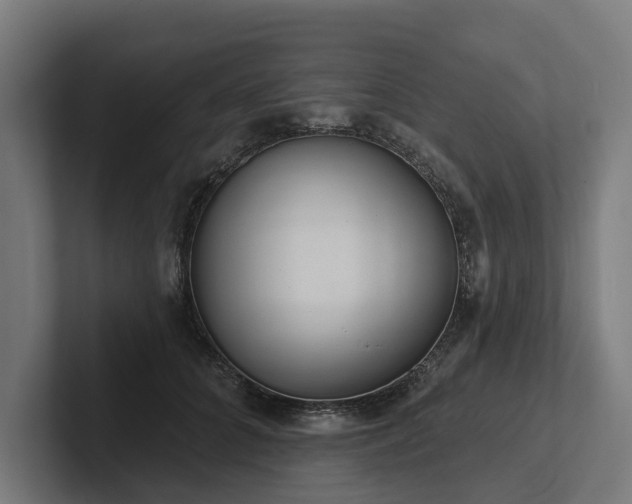 X0000102400704200808011547