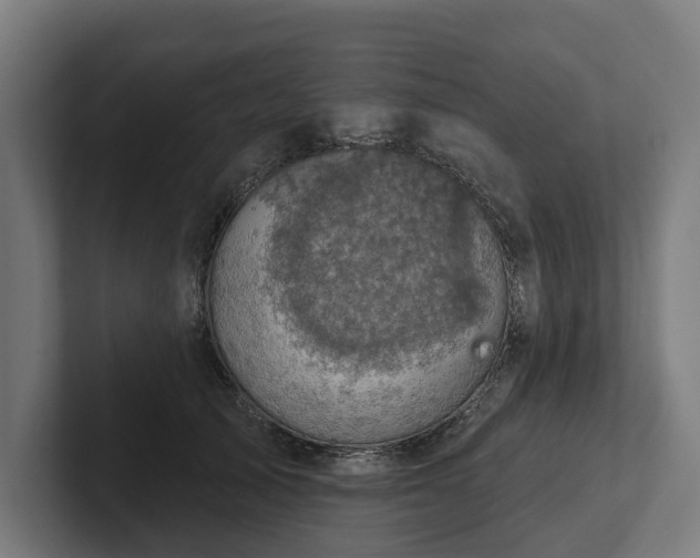 X0000102400705200808011547