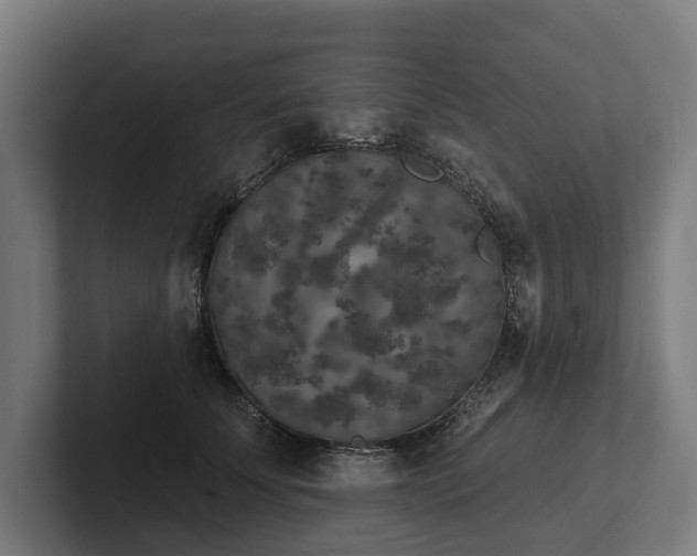 X0000102400707200808011547