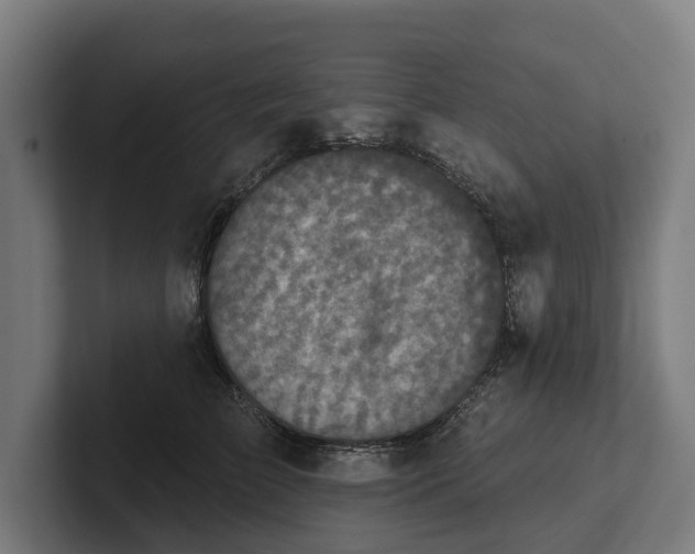 X0000102400709200808011547