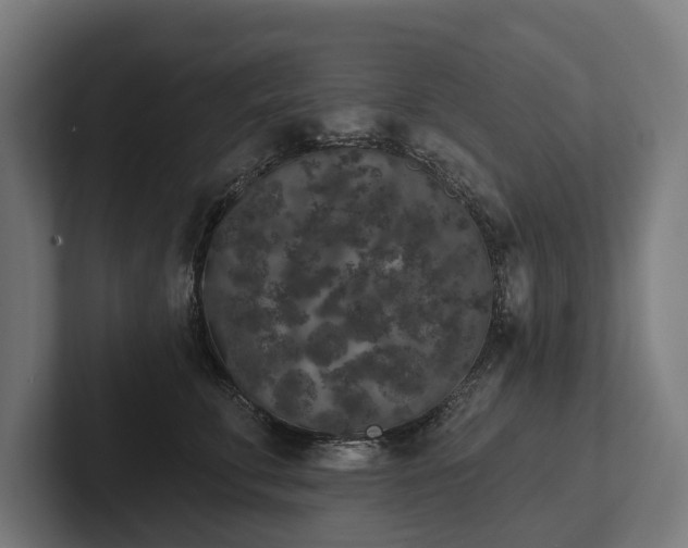 X0000102400711200808011546