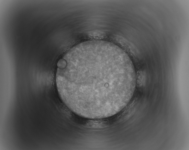 X0000102400713200808011546