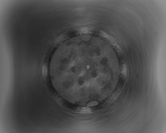 X0000102400715200808011546