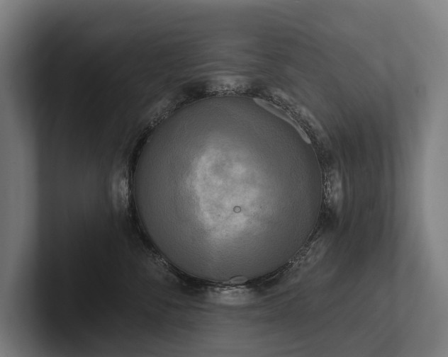 X0000102400716200808011546