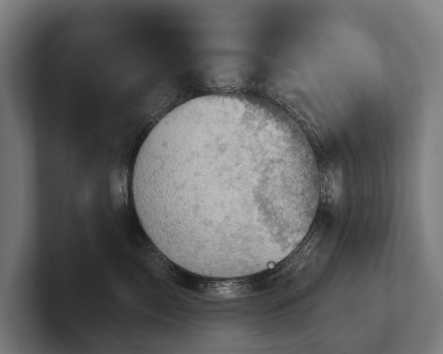 X0000102400717200808011546