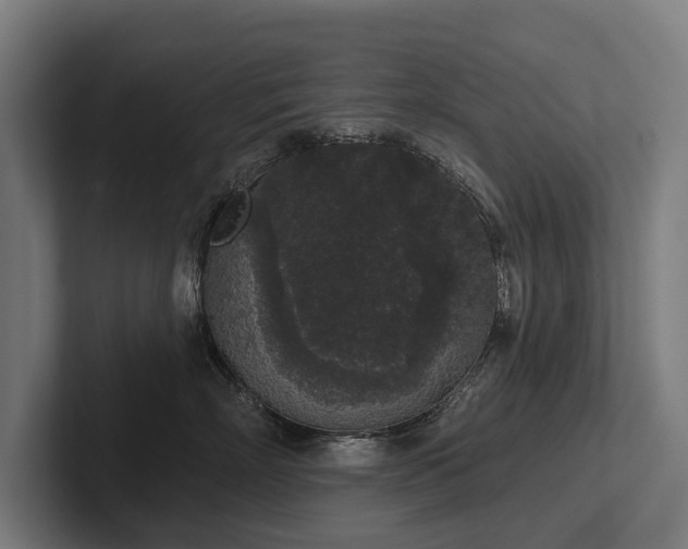 X0000102400718200808011546