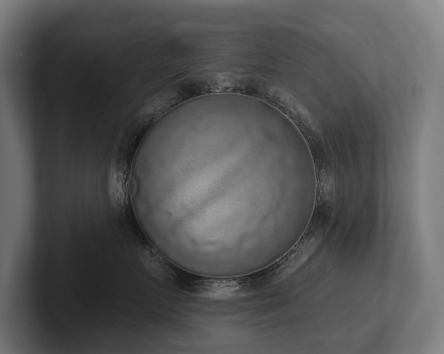 X0000102400719200808011546