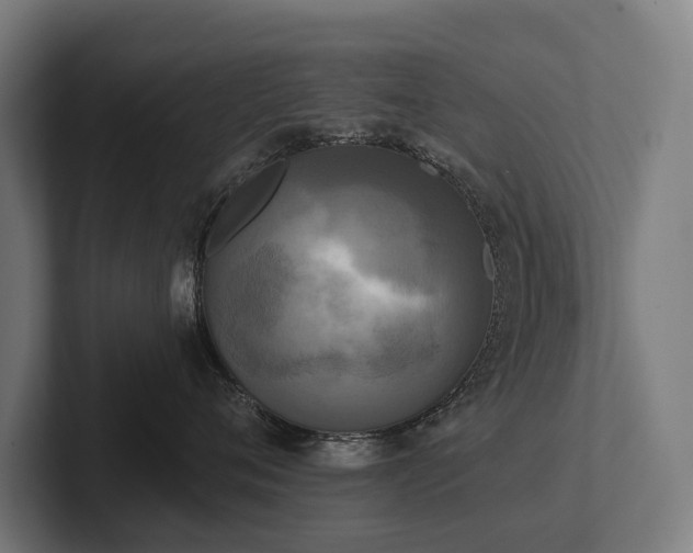 X0000102400720200808011546