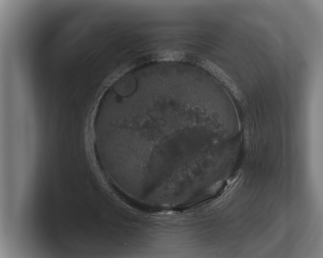 X0000102400721200808011546