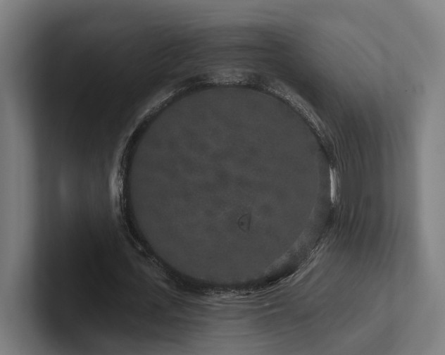 X0000102400723200808011546