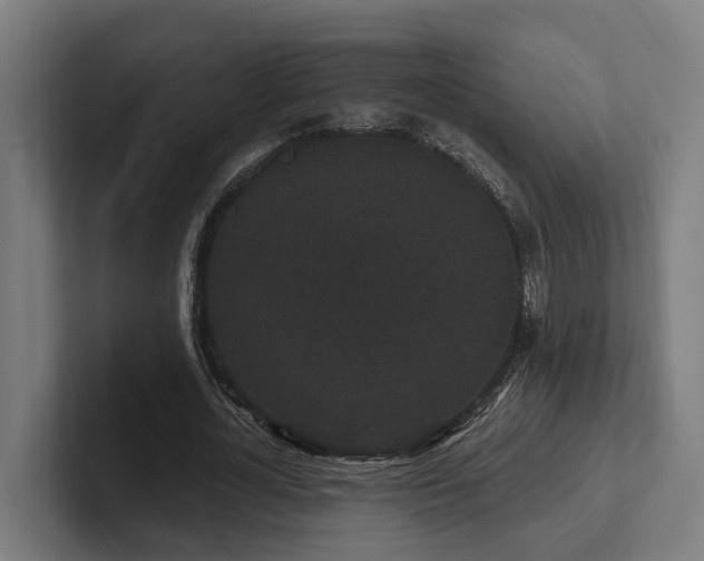 X0000102400724200808011546