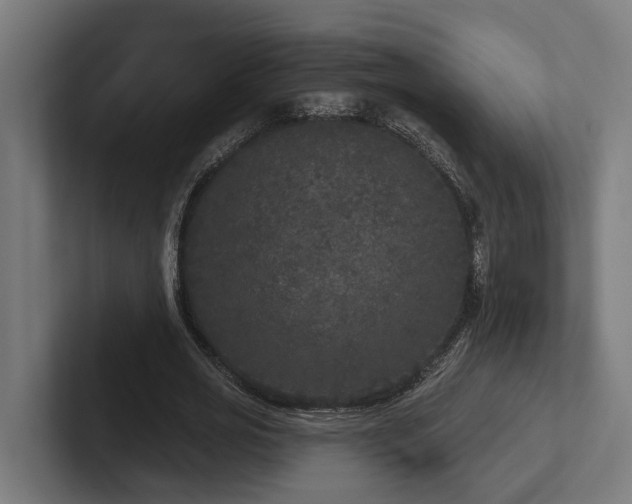 X0000102400725200808011546