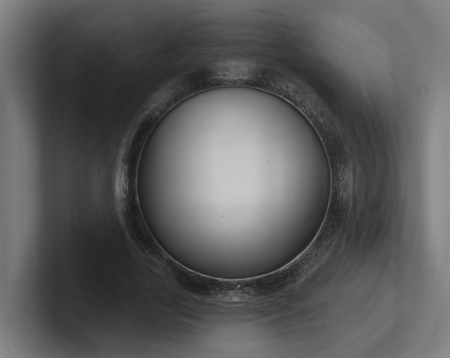 X0000102400731200808011546