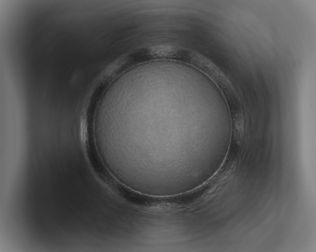 X0000102400734200808011546