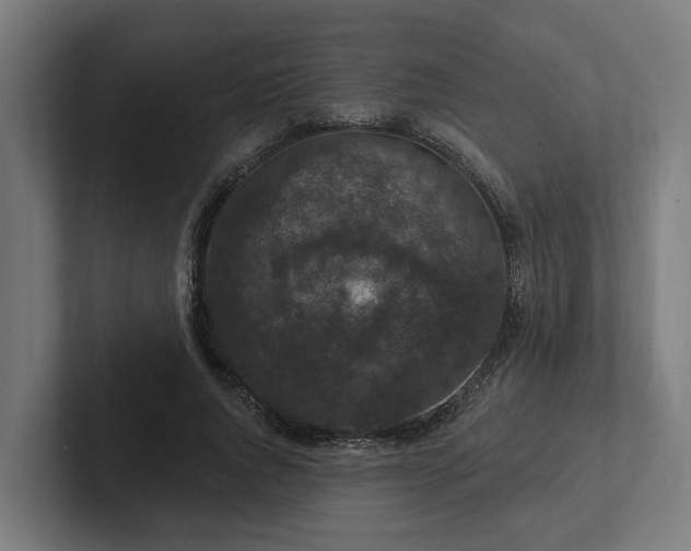 X0000102400736200808011546