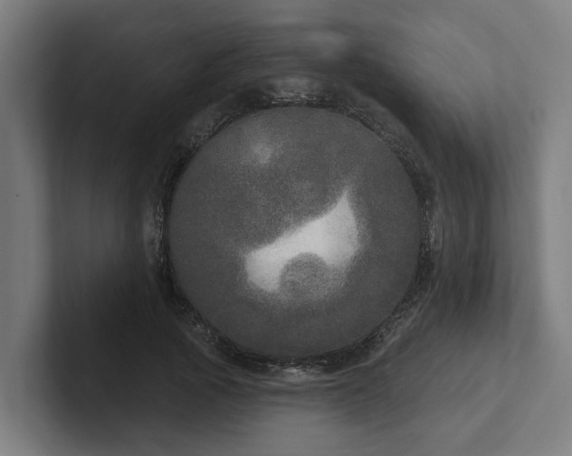 X0000102400737200808011546