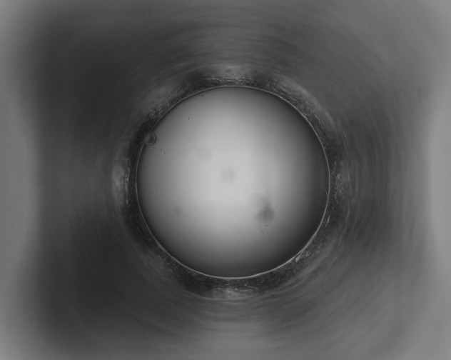 X0000102400739200808011546