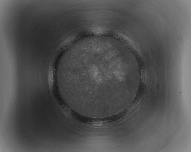 X0000102400740200808011546