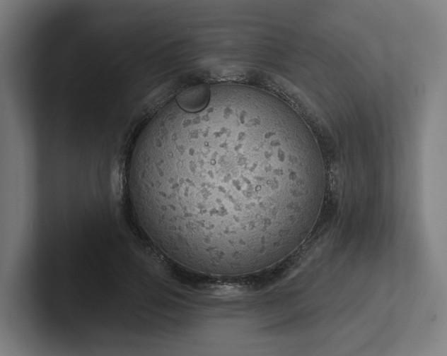 X0000102400741200808011546