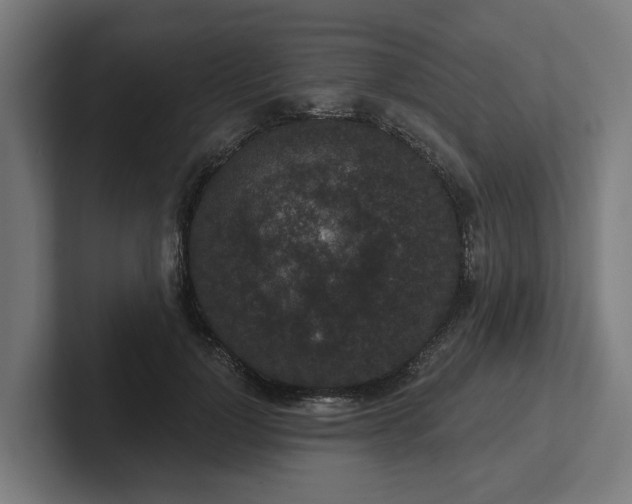 X0000102400748200808011546