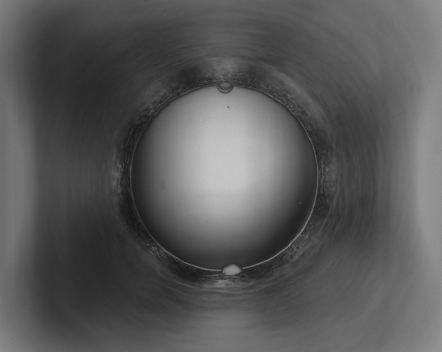 X0000102400750200808011546