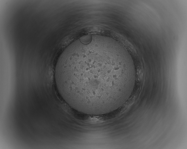 X0000102400753200808011546