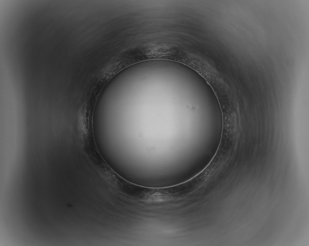 X0000102400755200808011546