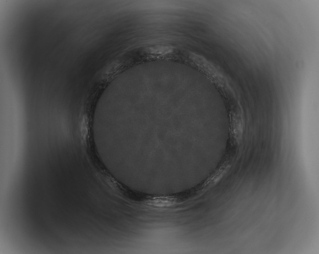 X0000102400758200808011546