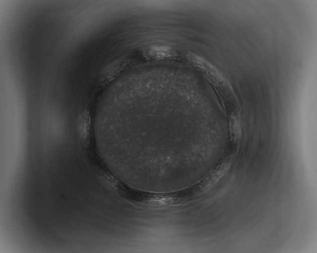 X0000102400760200808011546