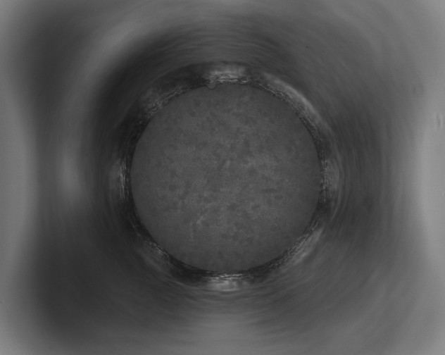 X0000102400761200808011546