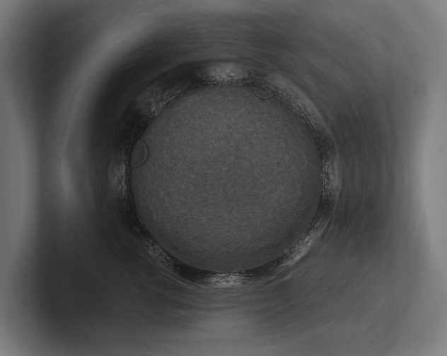 X0000102400762200808011546