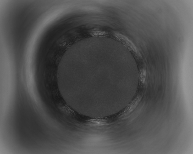 X0000102400763200808011546