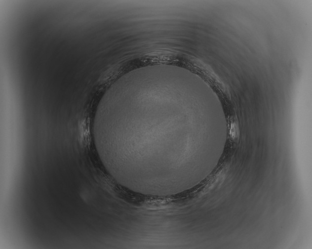 X0000102400771200808011546