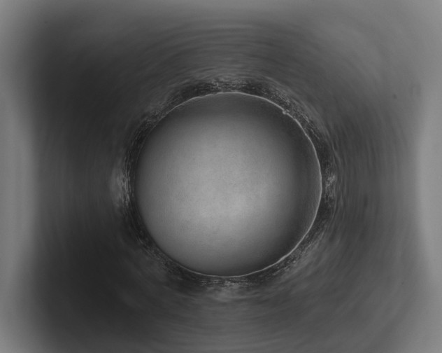 X0000102400772200808011546