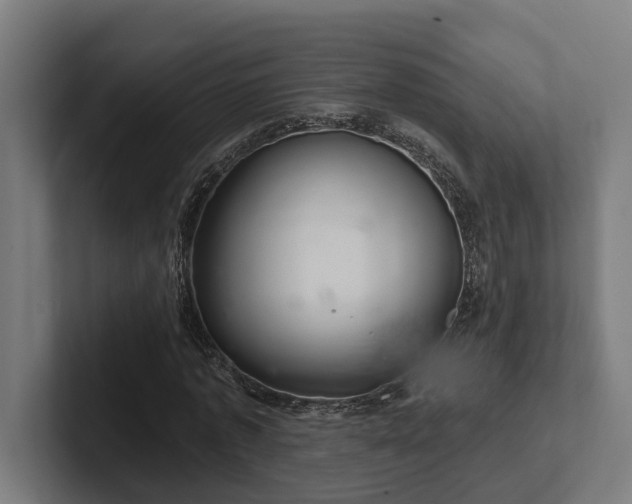 X0000102400773200808011546