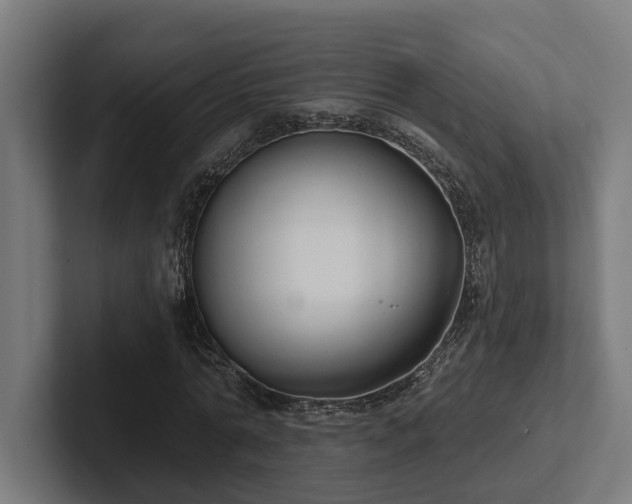 X0000102400774200808011546