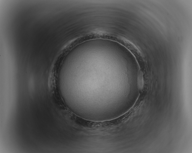 X0000102400776200808011546