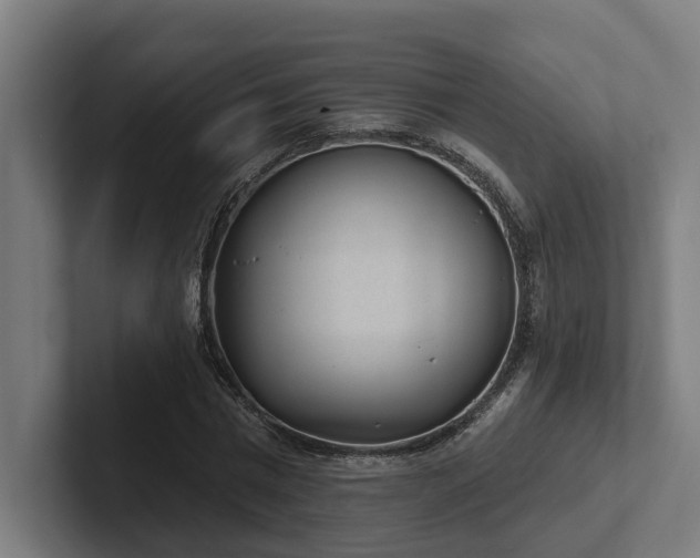 X0000102400777200808011546