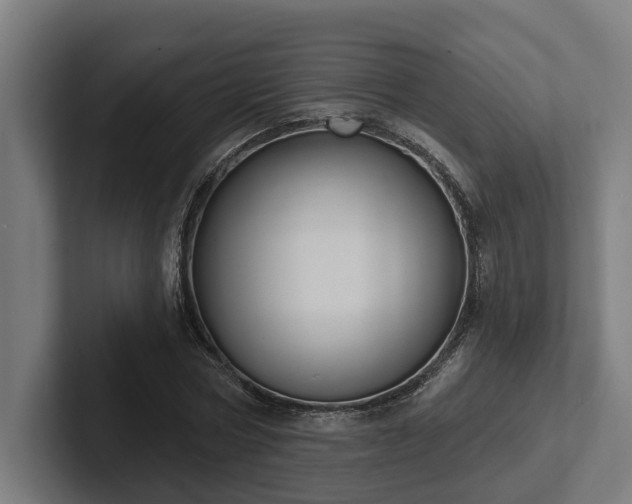 X0000102400778200808011546