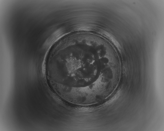 X0000102400779200808011546