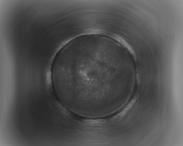 X0000102400781200808011546