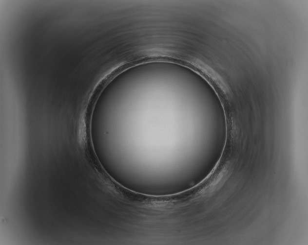 X0000102400782200808011546