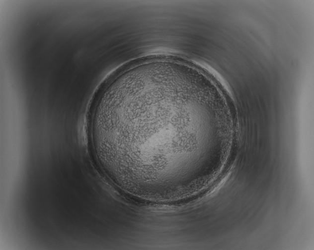 X0000102400783200808011546