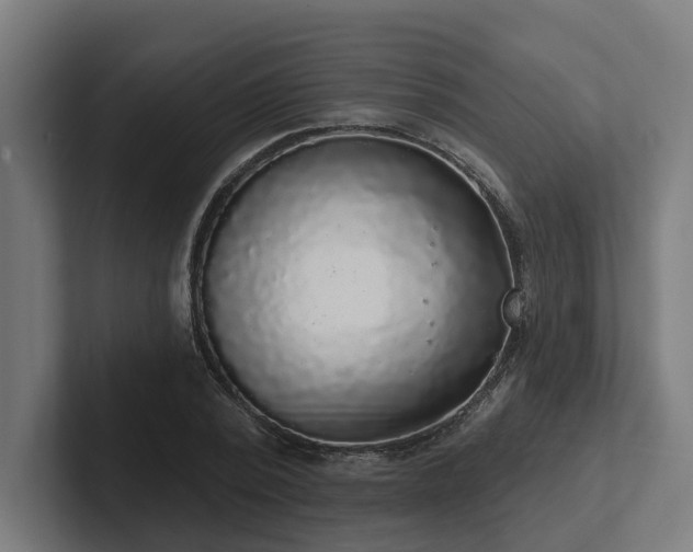 X0000102400784200808011546