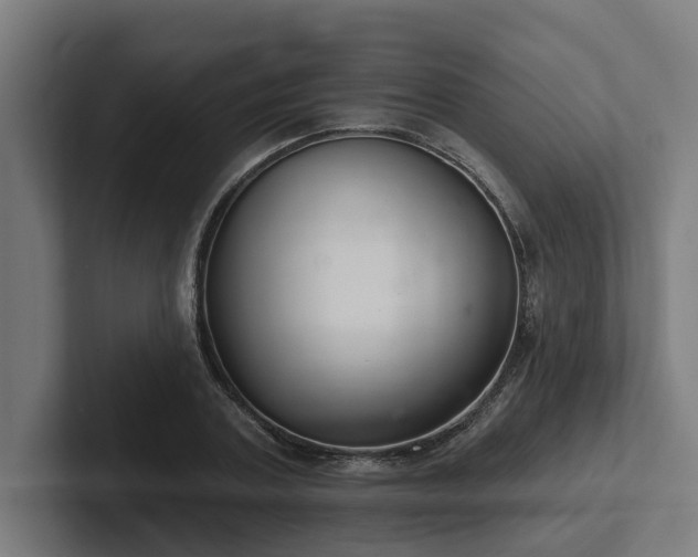 X0000102400787200808011545
