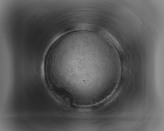X0000102400788200808011545