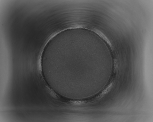 X0000102400789200808011545