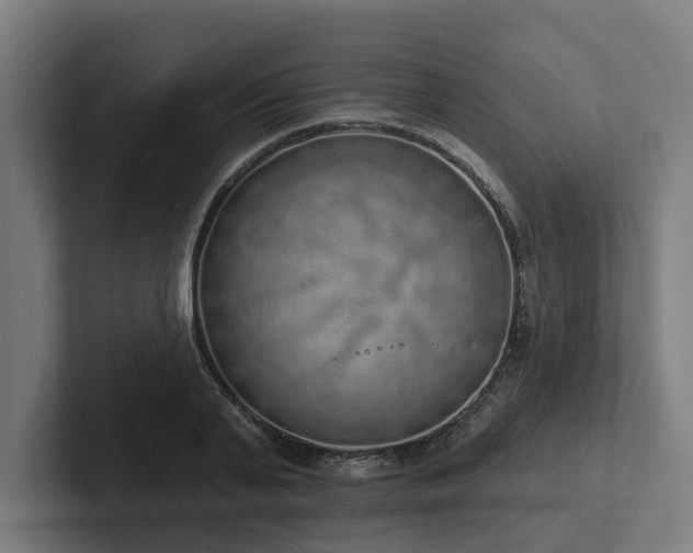 X0000102400791200808011545