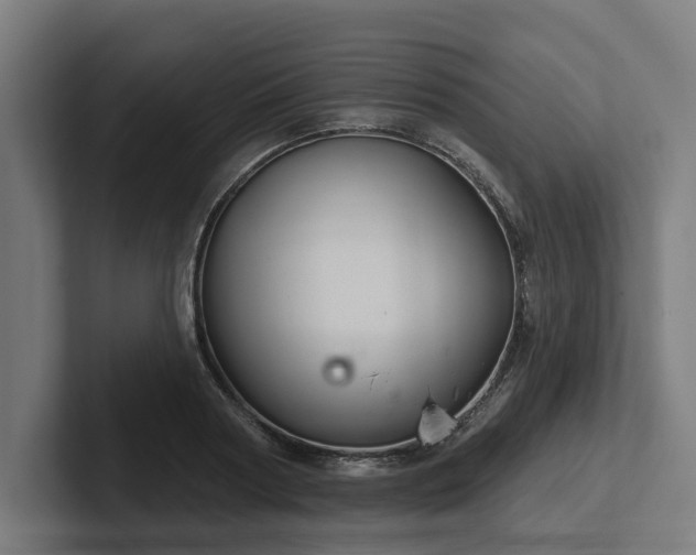 X0000102400794200808011545