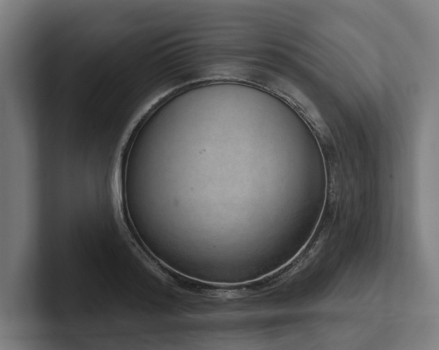 X0000102400796200808011545